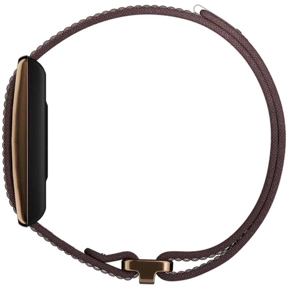 POLAR Loop Коричневый