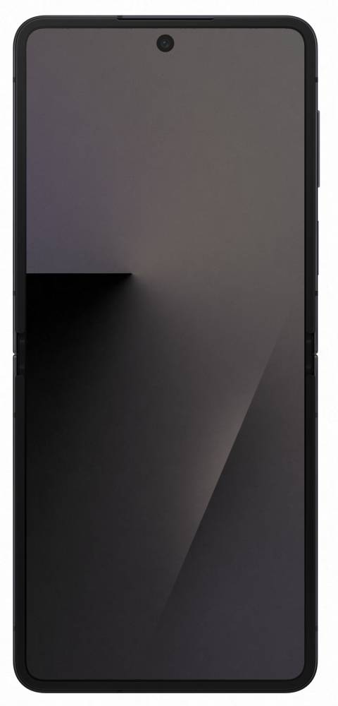 Samsung Galaxy Z Flip7 12/256 Гб 5G eSIM+SIM Черный (F766B)