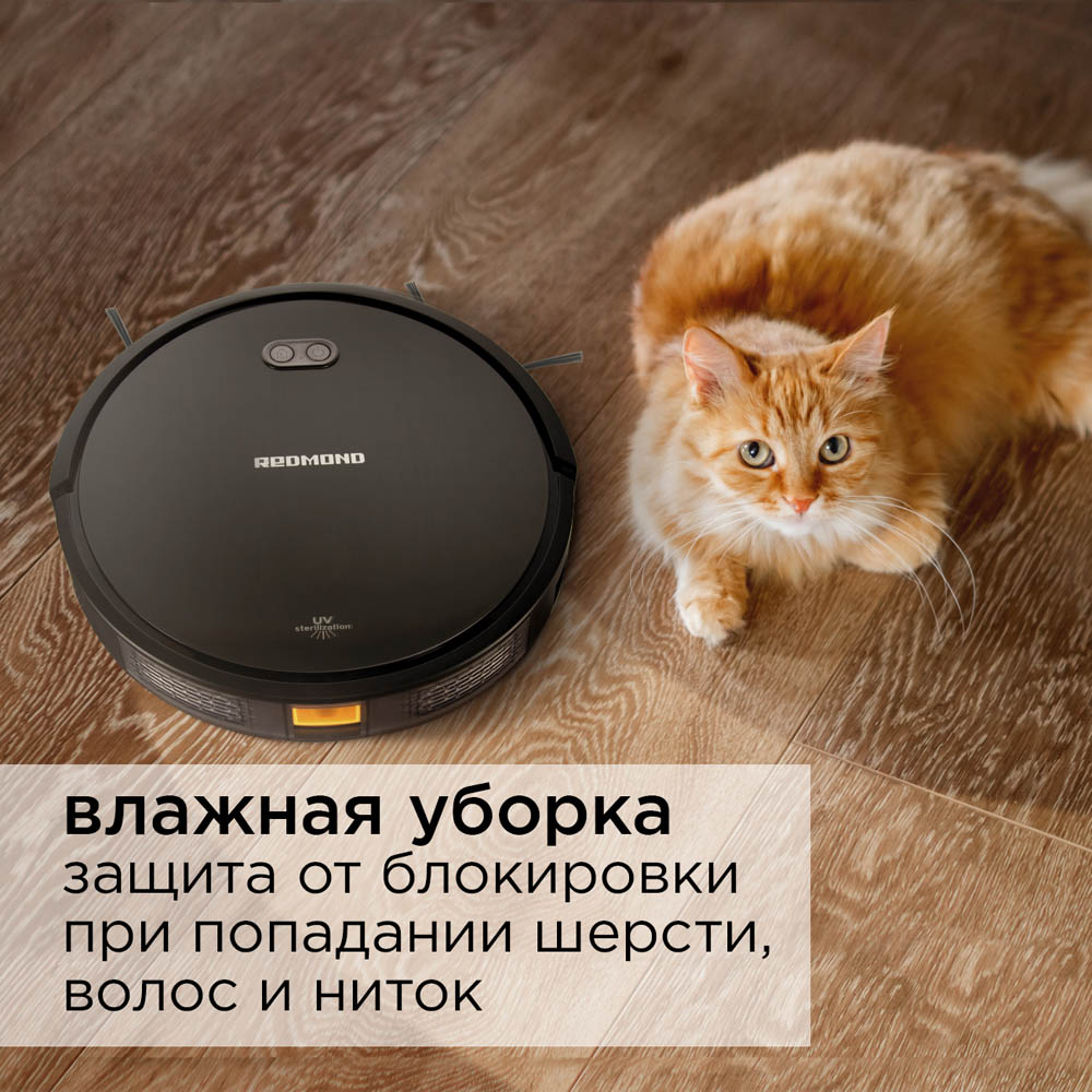 Redmond RV-R650S Black