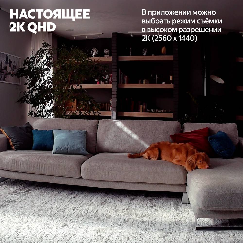 Яндекс YNDX-00582 Серая