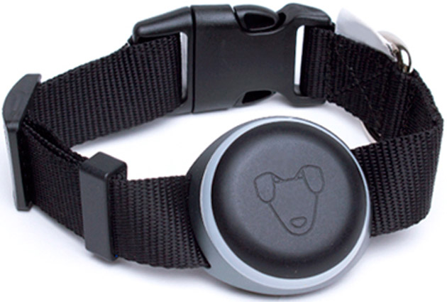 Mishiko для собак Black