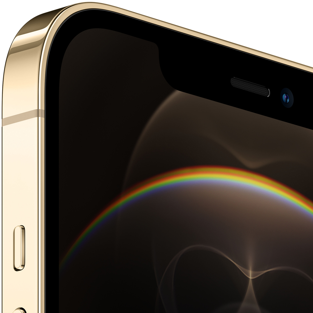 Смартфон Apple iPhone 12 Pro Max 256Gb Золотой: купить по выгодной