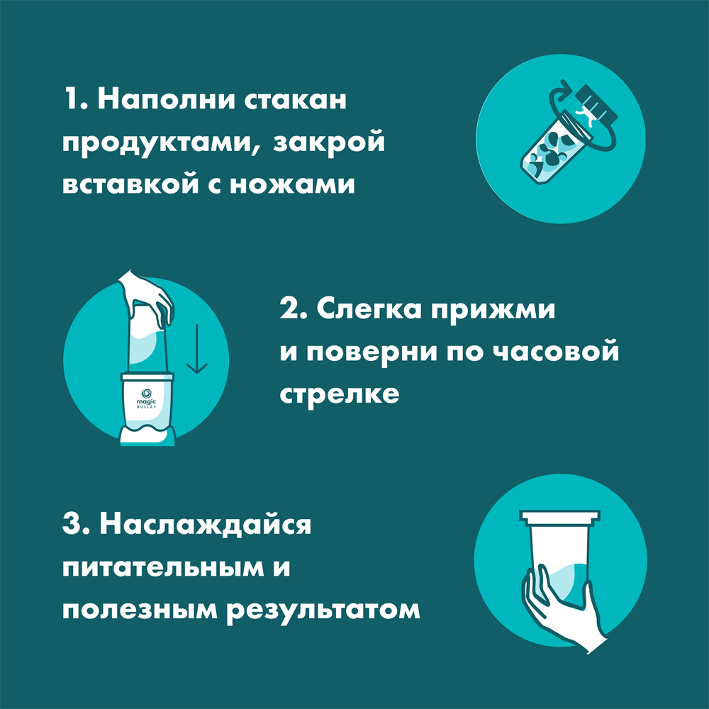 Nutribullet MBR10 Silver