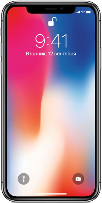 Apple iPhone X 256GB Space Gray (Серый Космос)