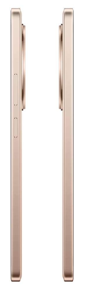 realme 13+ 12/256 Гб 5G Золотой