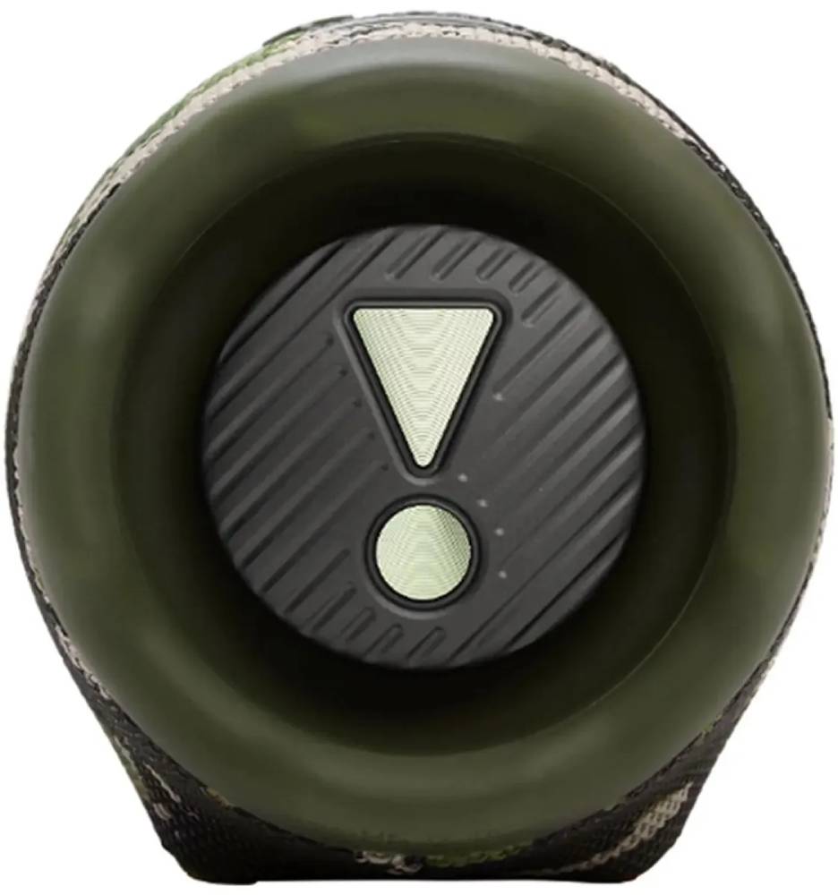 JBL Charge 6 Камуфляж