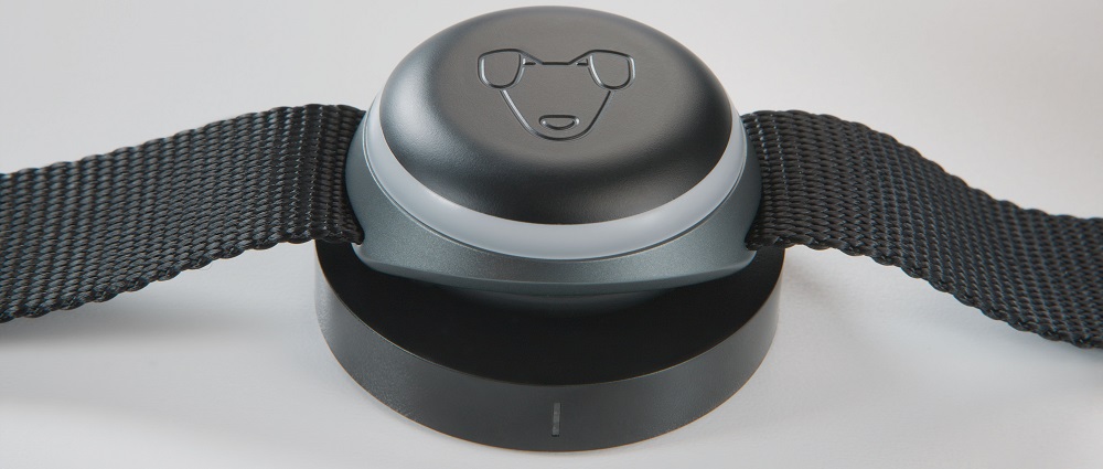 Mishiko для собак Black