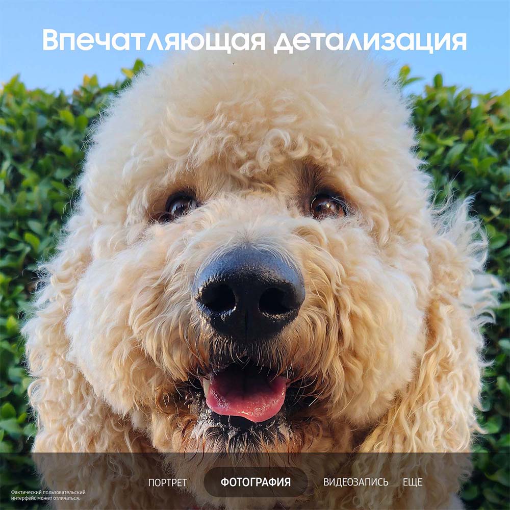 Samsung Galaxy S23+ 5G 8/256Gb Лавандовый