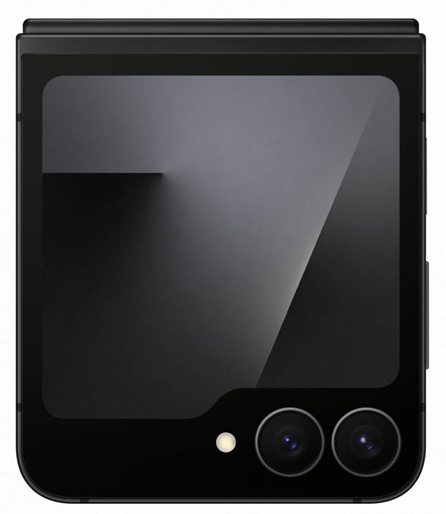 Samsung Galaxy Z Flip7 FE 8/256 Гб 5G eSIM+SIM Черный (F761B)