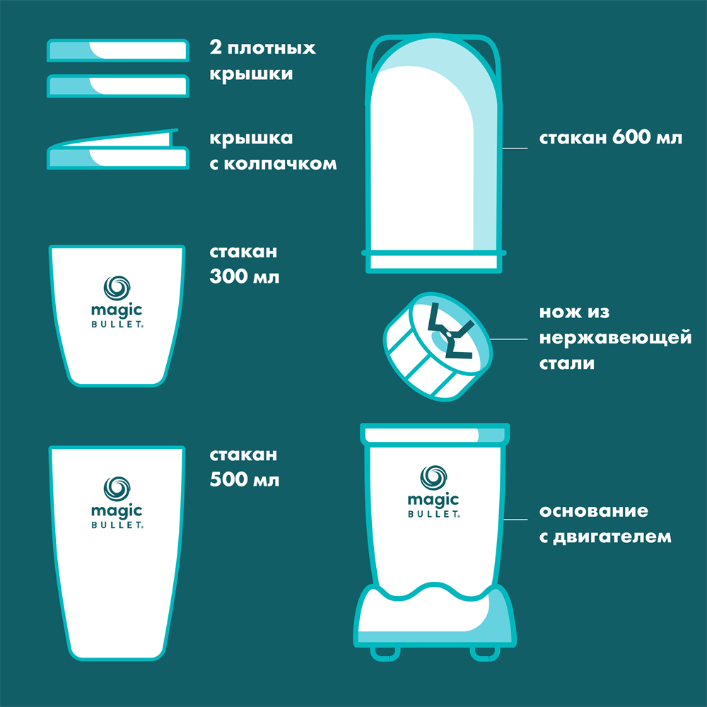 Nutribullet MBR10 Silver