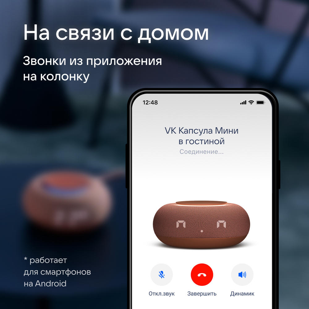 VK Капсула Мини с голосовым помощником Марусей, Терракотовая