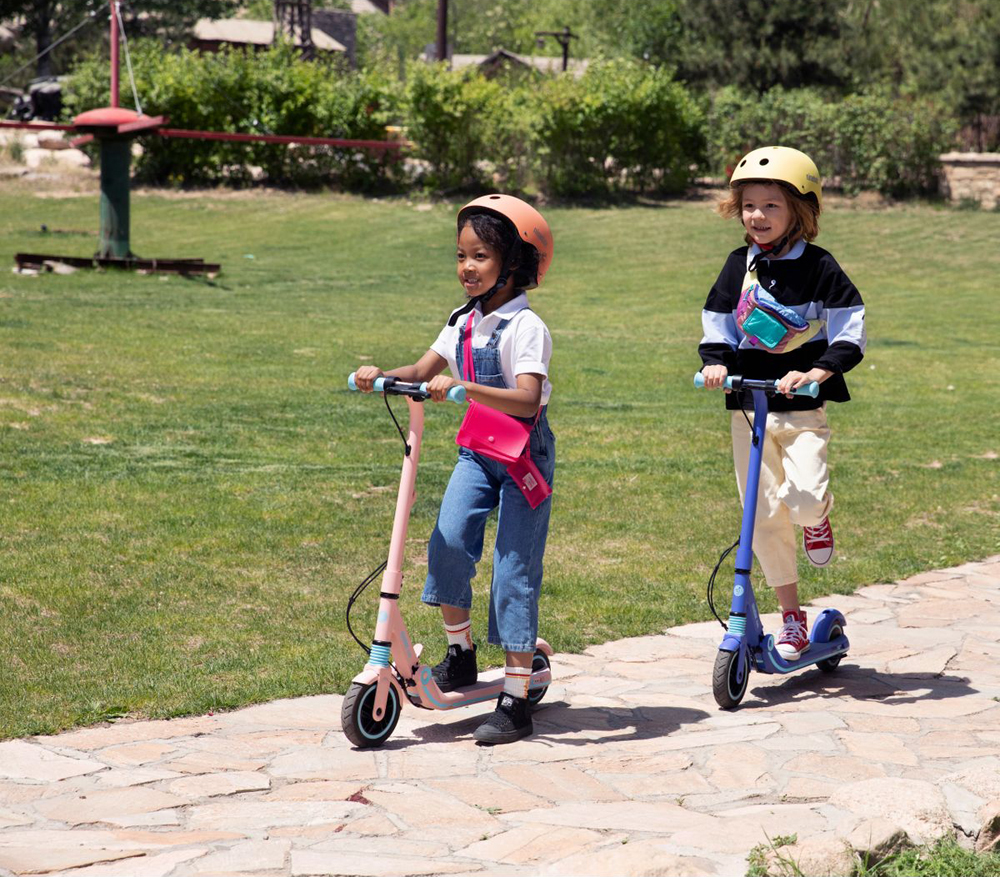 Ninebot eKickScooter Zing E8 Blue