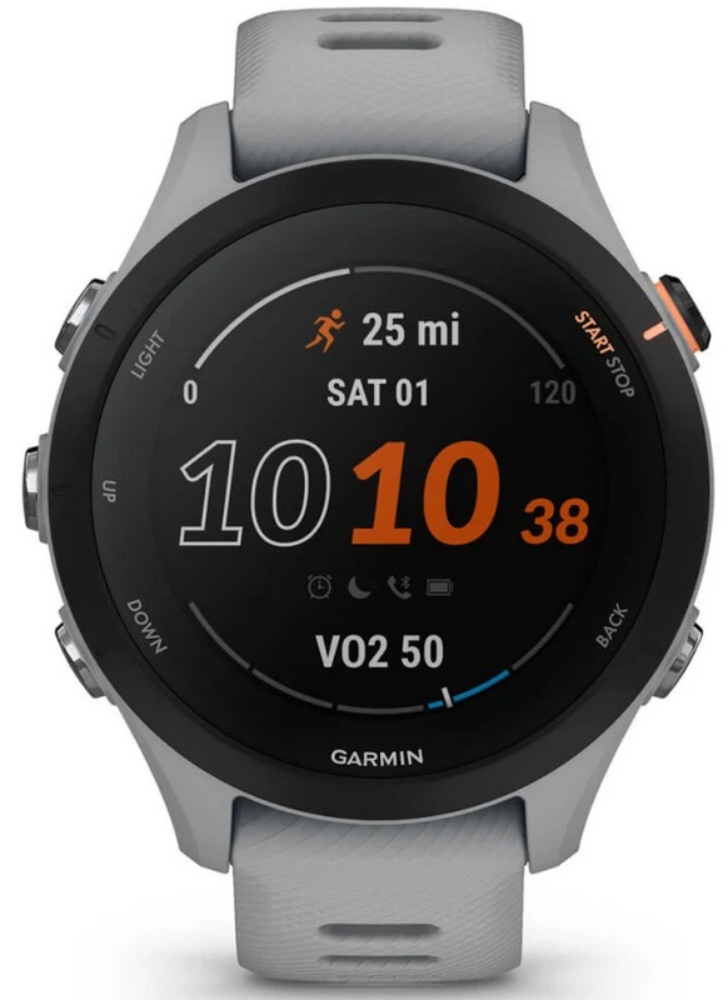 Garmin Forerunner 255S Powder Серые