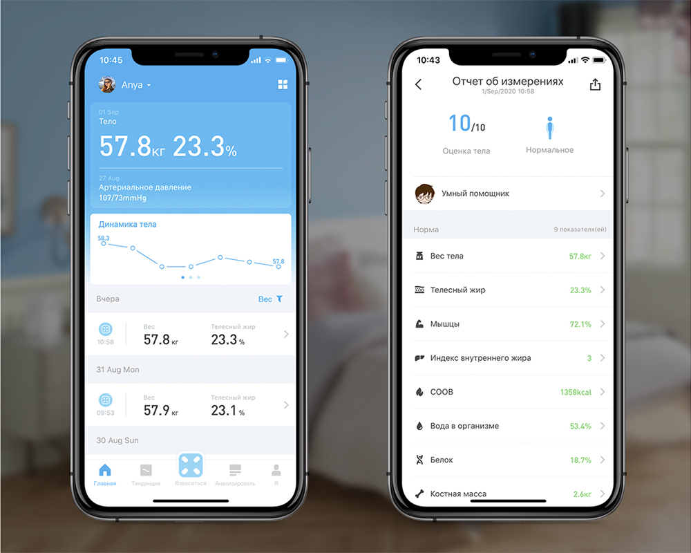 Picooc Mini V2 Black
