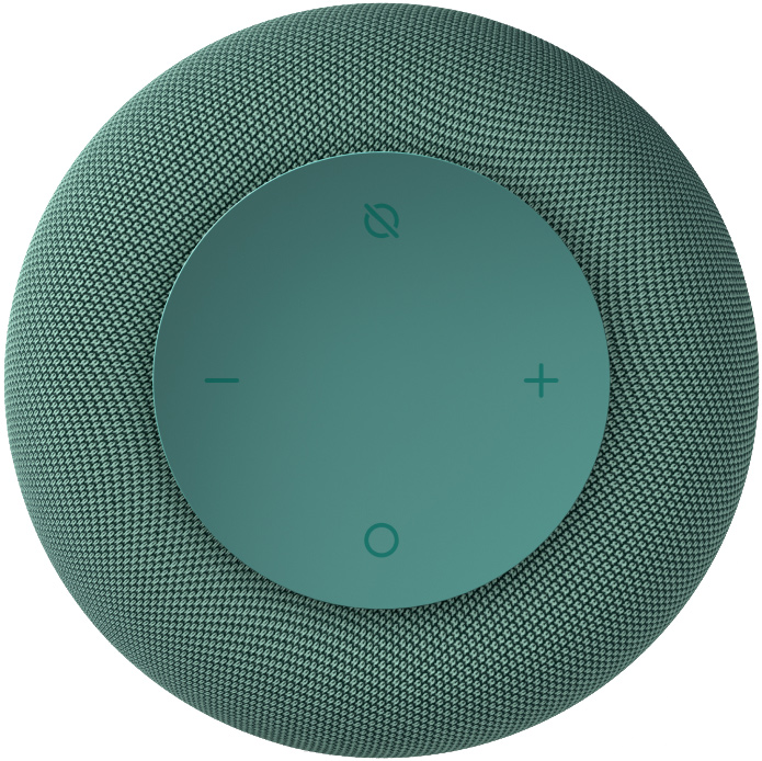 VK Капсула Мини с голосовым помощником Марусей, Хвойная зеленая