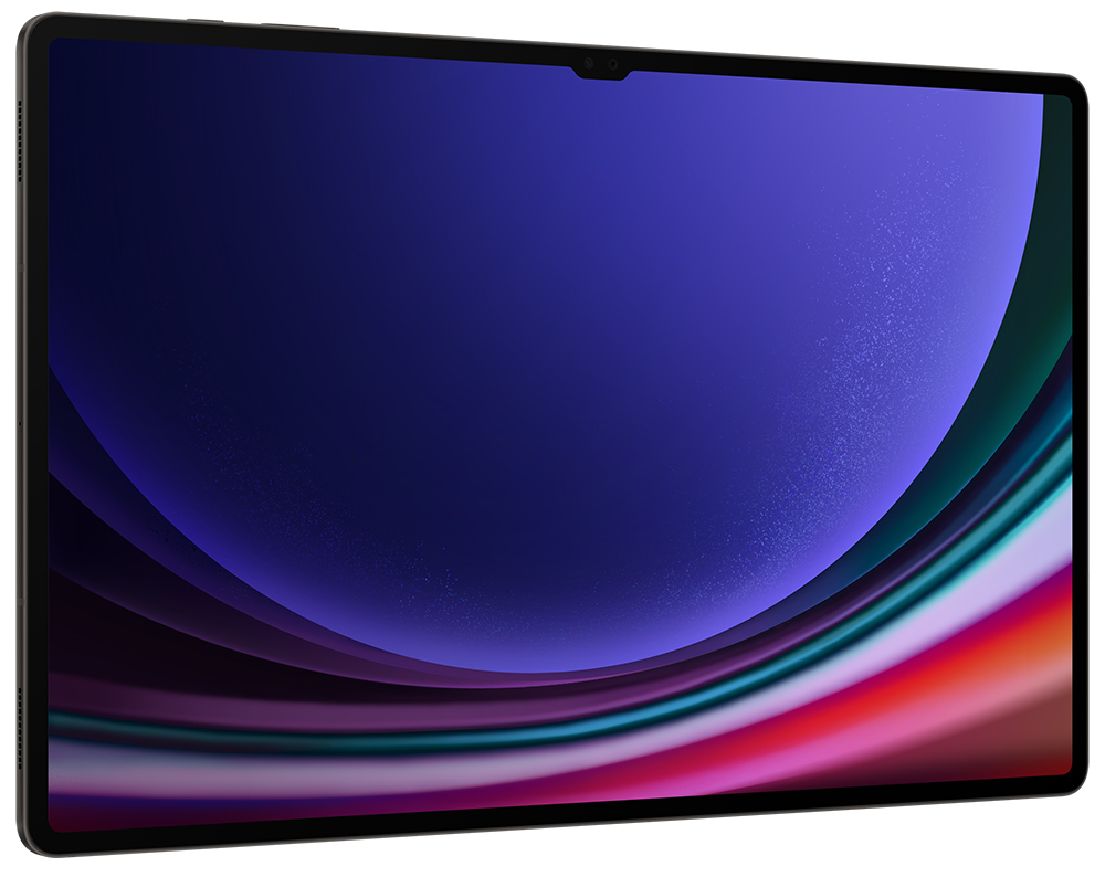 Samsung Galaxy Tab S9 Ultra 12/256GB Wi-Fi Графит + стилус