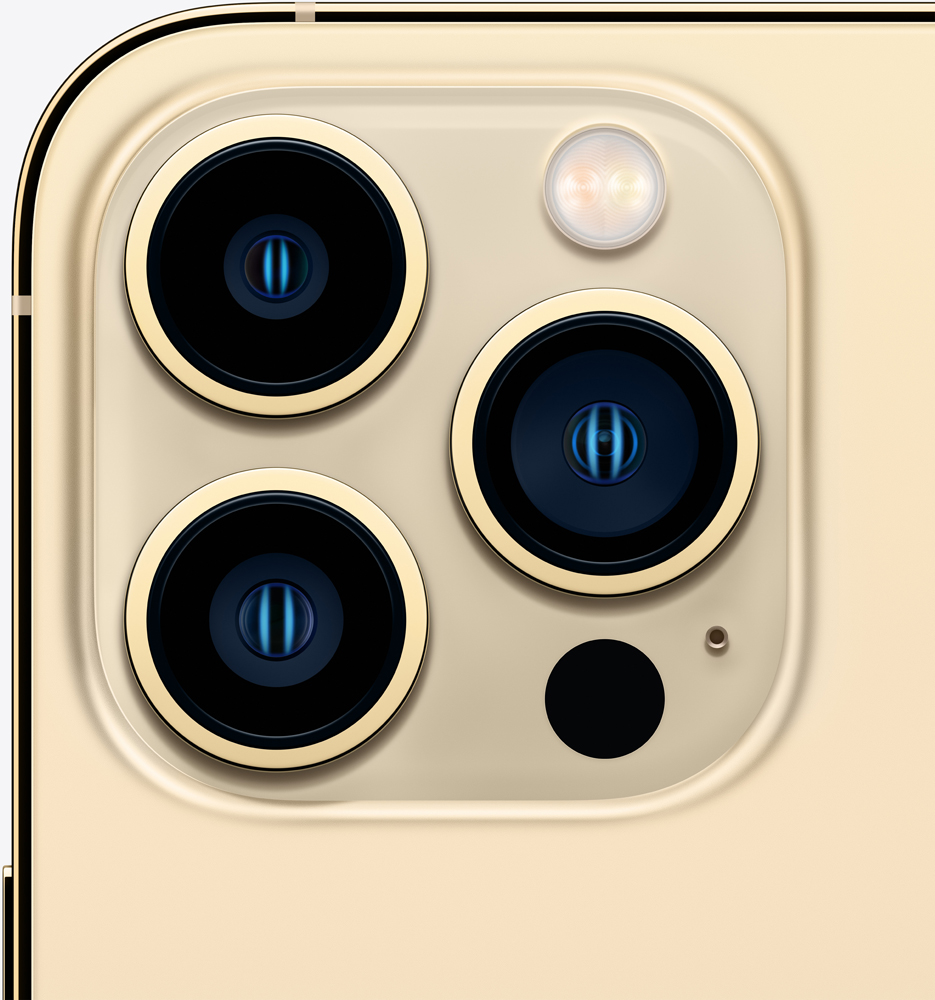 Смартфон Apple iPhone 13 Pro Max 256Gb Золотой: купить по выгодной