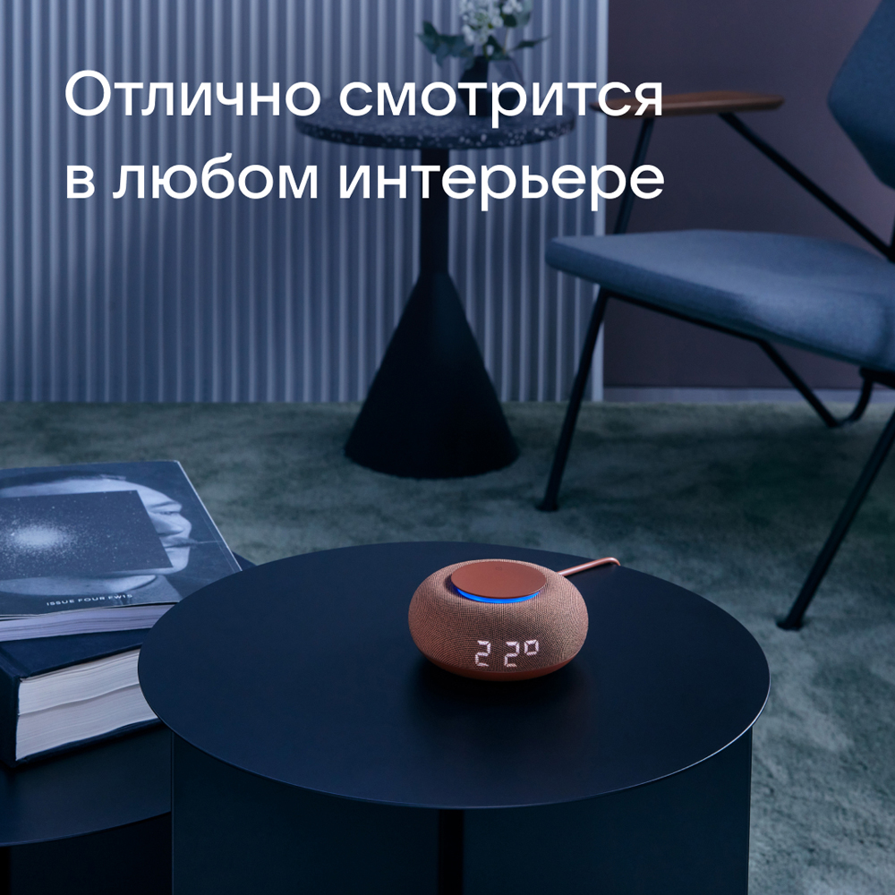 VK Капсула Мини с голосовым помощником Марусей, Терракотовая