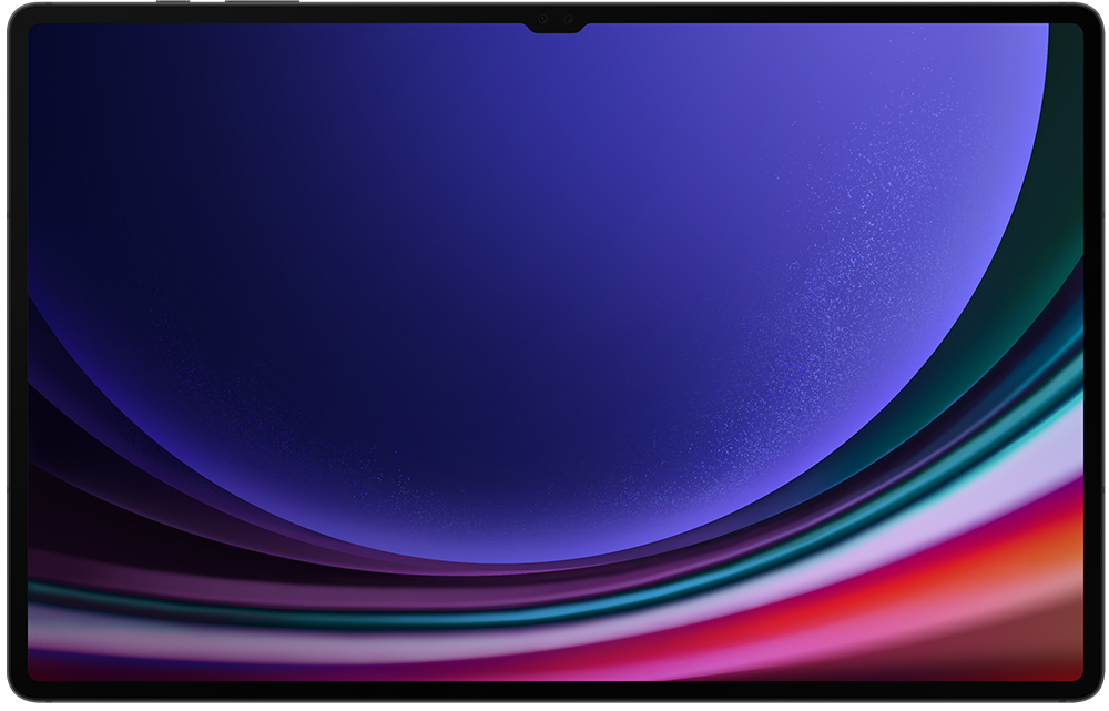 Samsung Galaxy Tab S9 Ultra 12/256GB Wi-Fi Графит + стилус