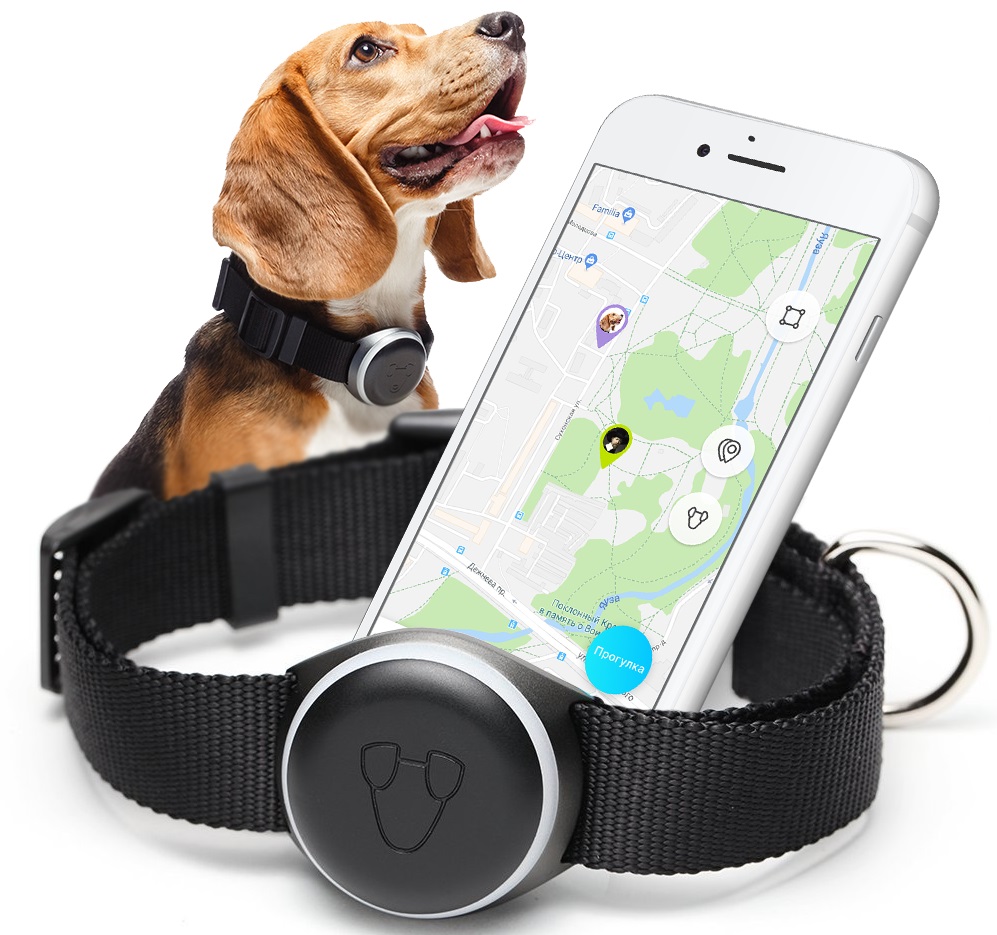 Mishiko для собак Black