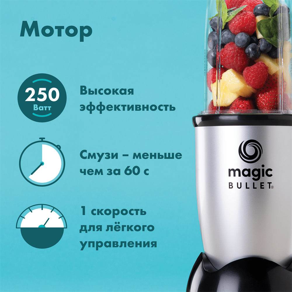 Nutribullet MBR10 Silver