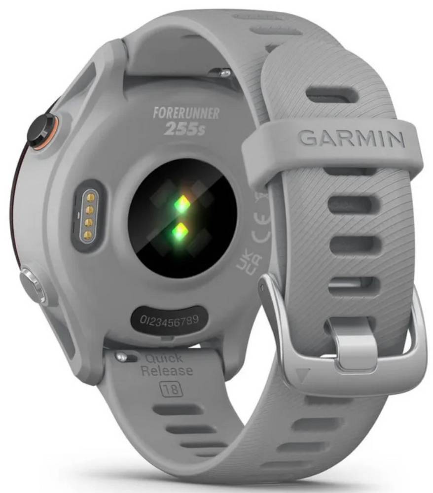 Garmin Forerunner 255S Powder Серые