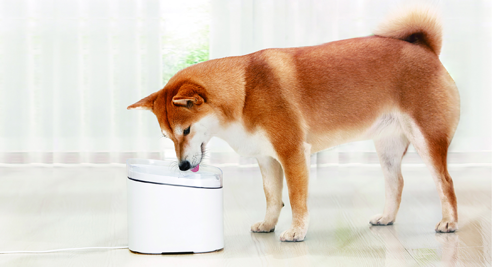 Xiaomi Smart Pet Fountain EU Белый