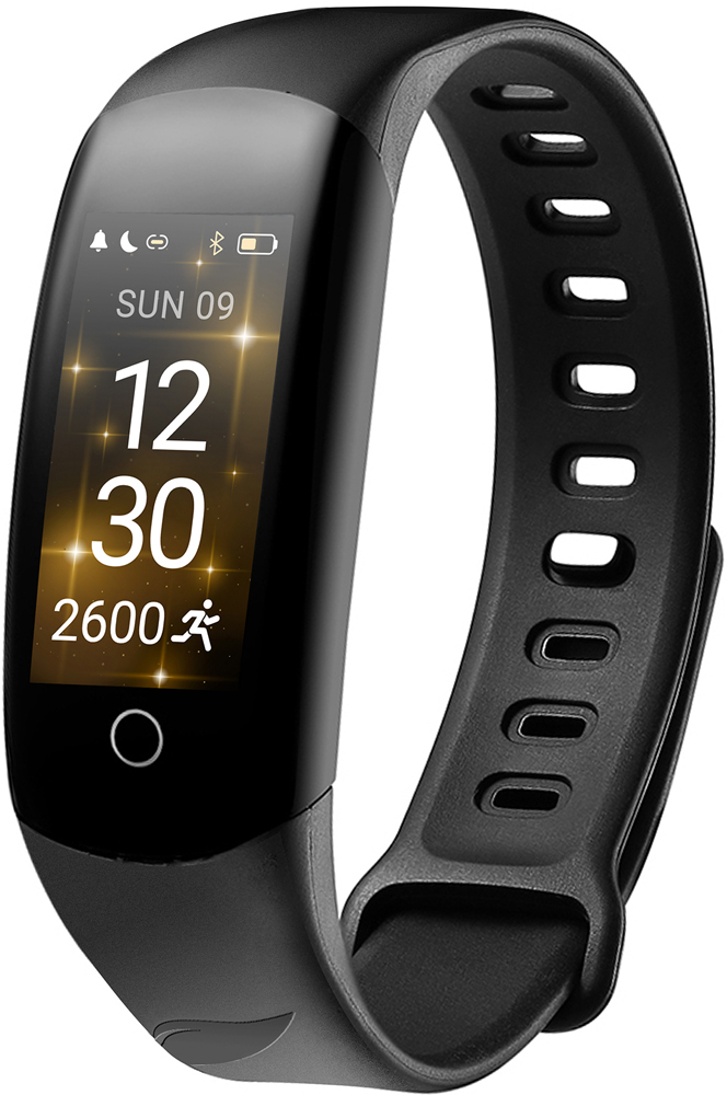 Leef Evo Черный