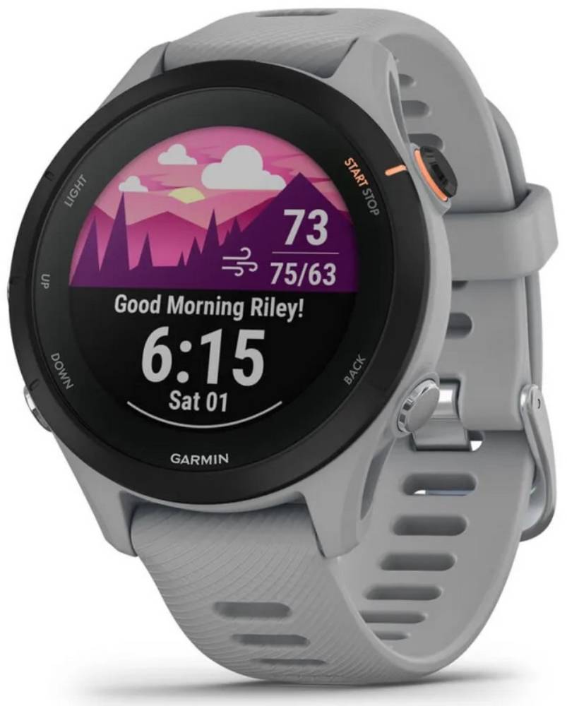 Garmin Forerunner 255S Powder Серые